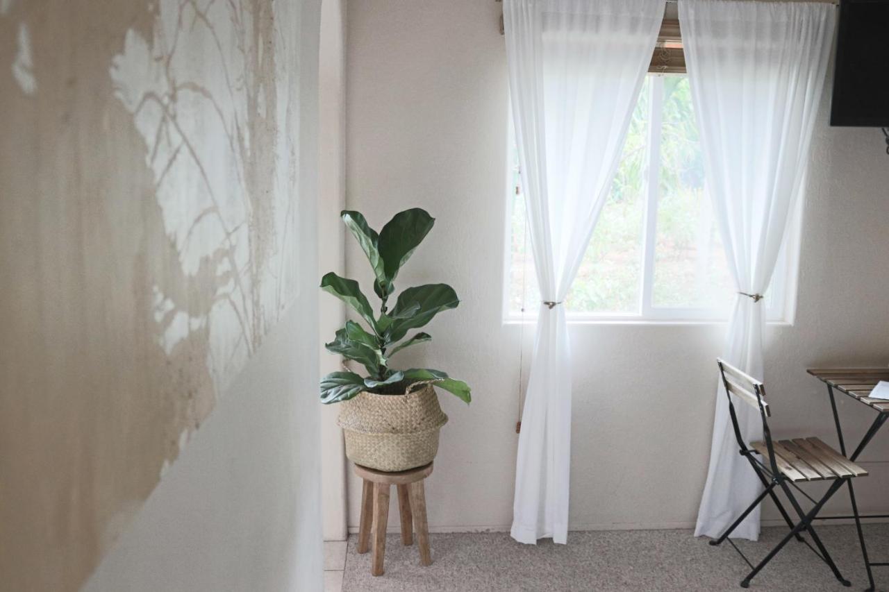 Maui Garden Oasis Βίλα Lahaina Εξωτερικό φωτογραφία