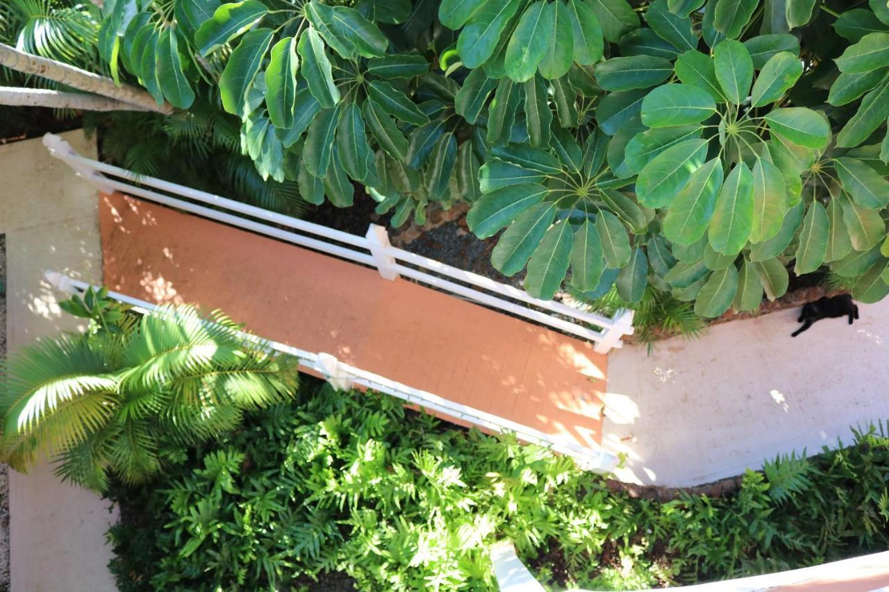 Maui Garden Oasis Βίλα Lahaina Εξωτερικό φωτογραφία