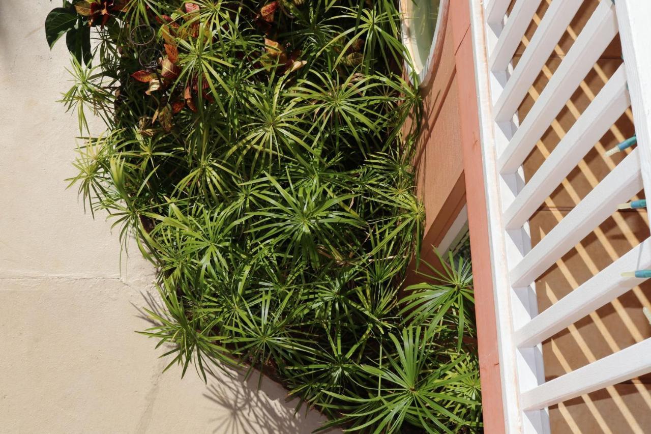 Maui Garden Oasis Βίλα Lahaina Εξωτερικό φωτογραφία