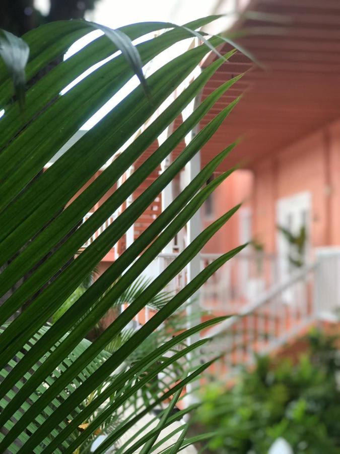 Maui Garden Oasis Βίλα Lahaina Εξωτερικό φωτογραφία